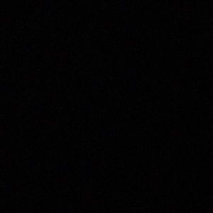 Meet your Posher, Bridgett